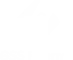 GSS