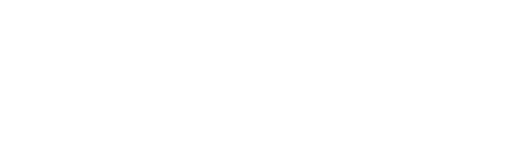 Orient Telecom